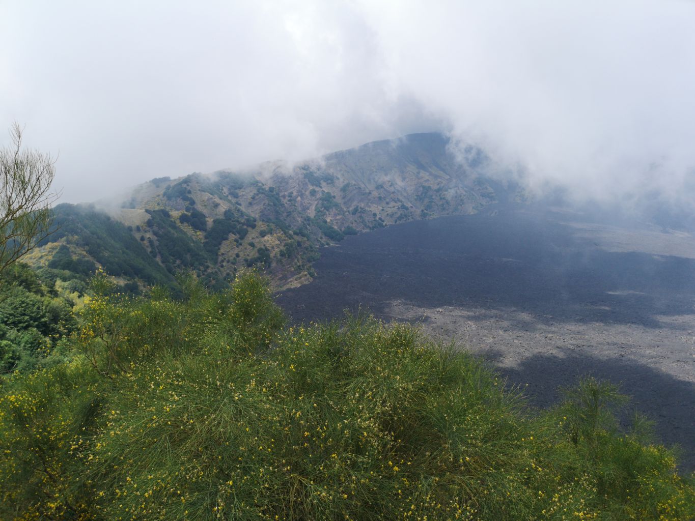 IMG_20190719_120147 .jpg